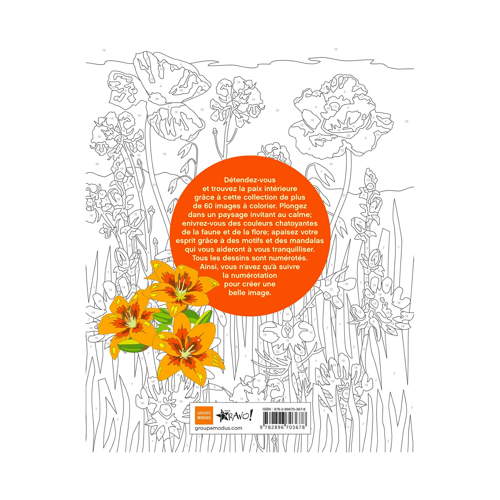 Zen Coloring by Numbers: French Edition