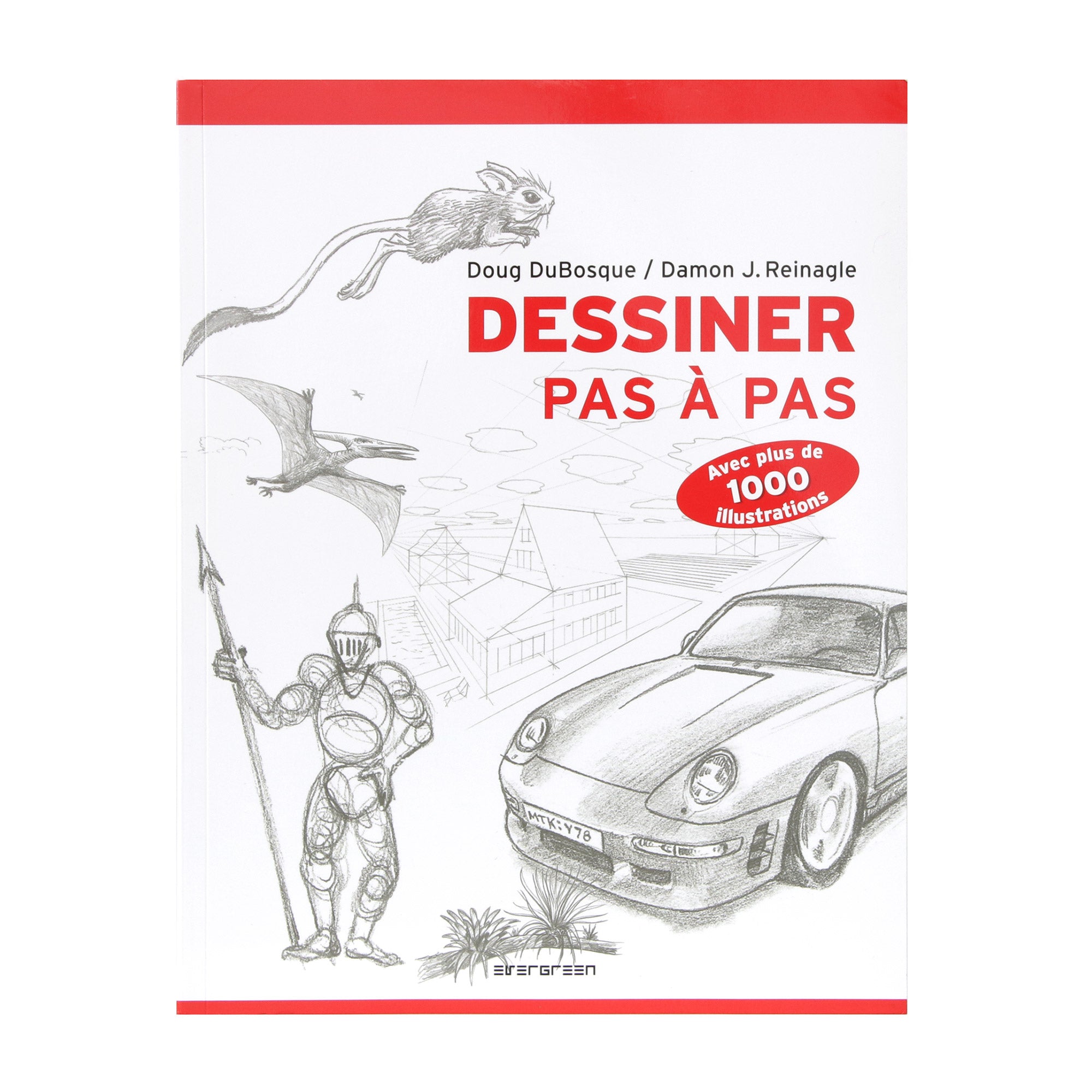Step-by-Step Drawing Mastery
