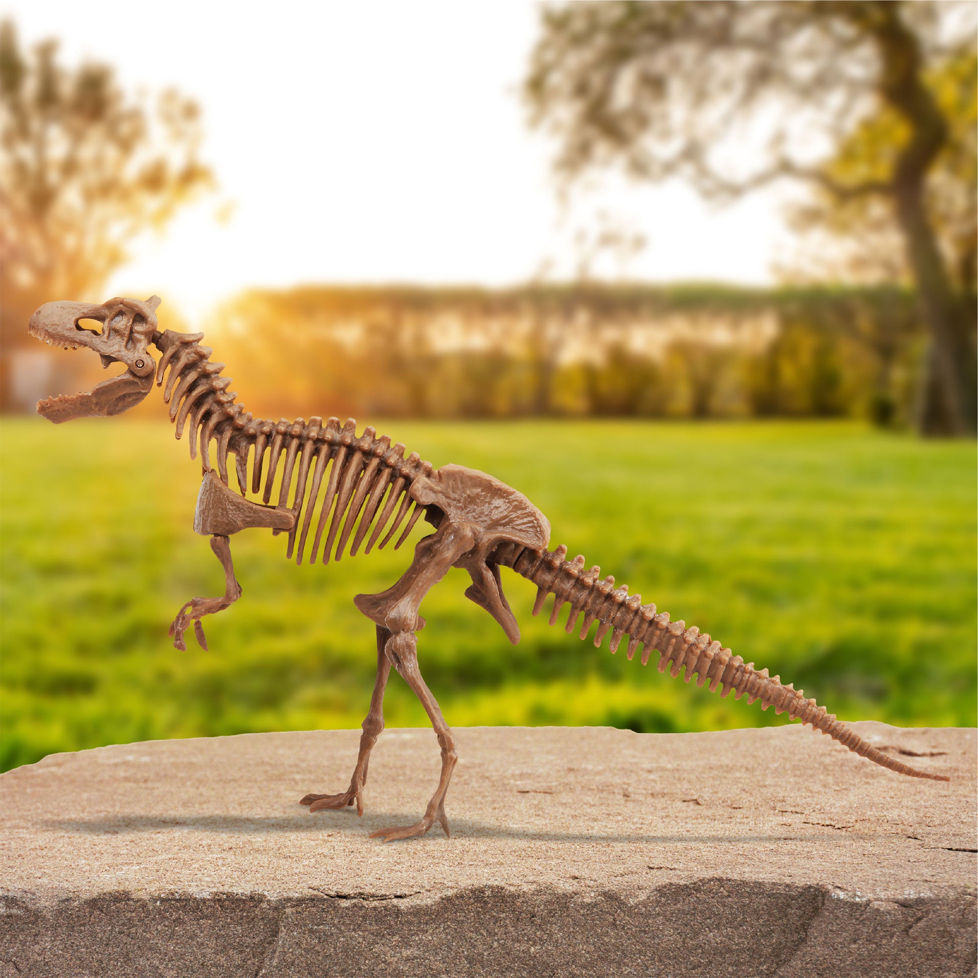 Thrilling 3D Dino Skeleton Excavation Adventure Kit