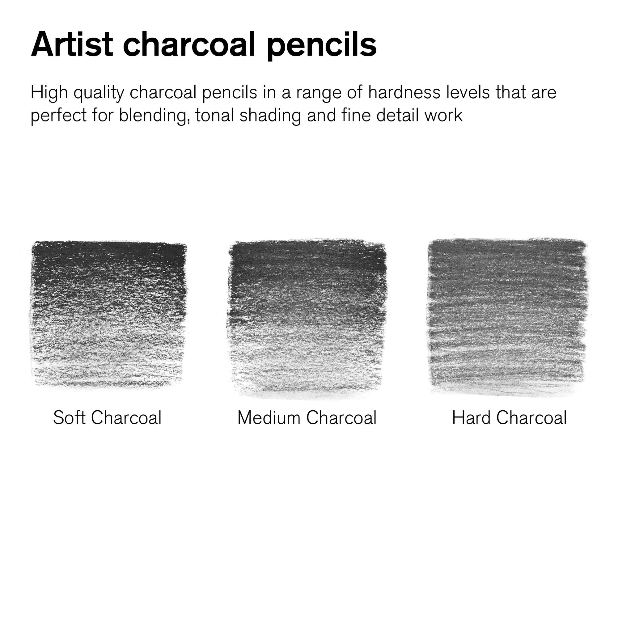 Winsor & Newton 6-Pack Studio Charcoal Pencils for Dynamic Sketching