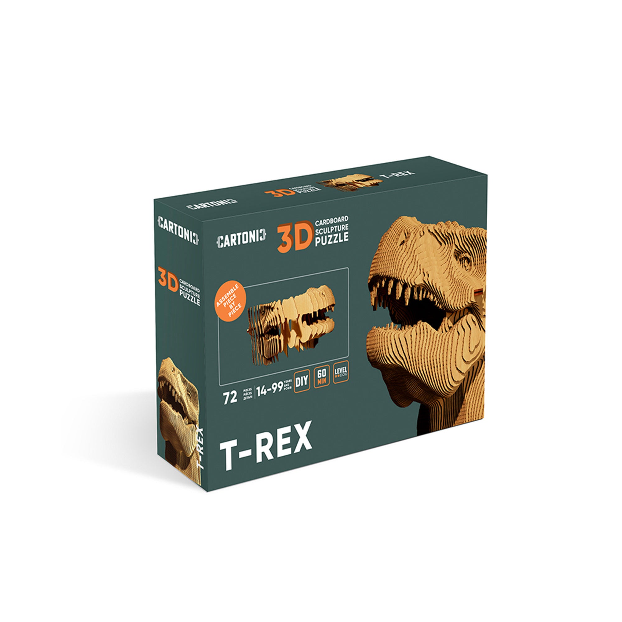 Thrilling 3D Cardboard T-Rex Puzzle