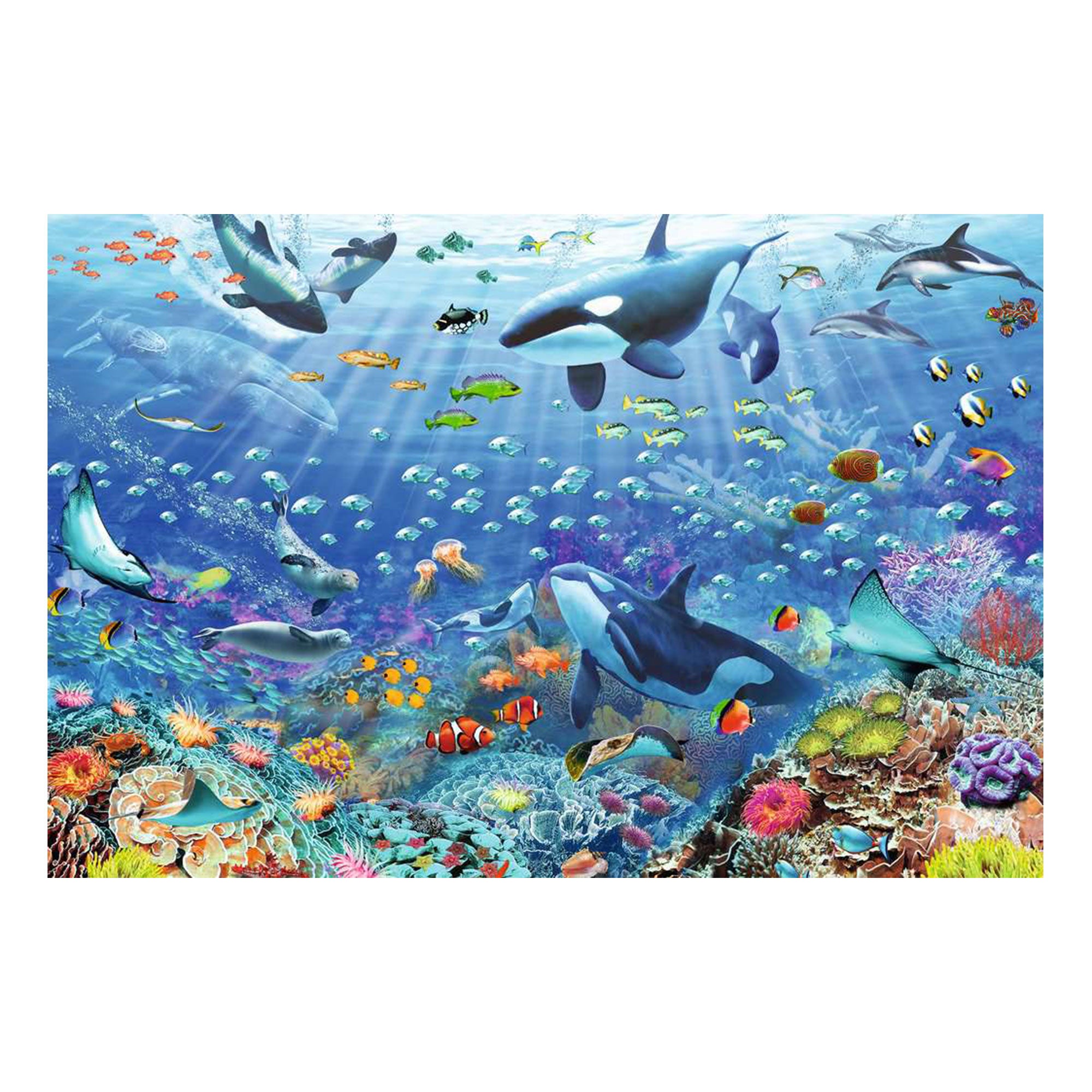 Dive into the Underwater World with Our 3,000-Piece Puzzle!