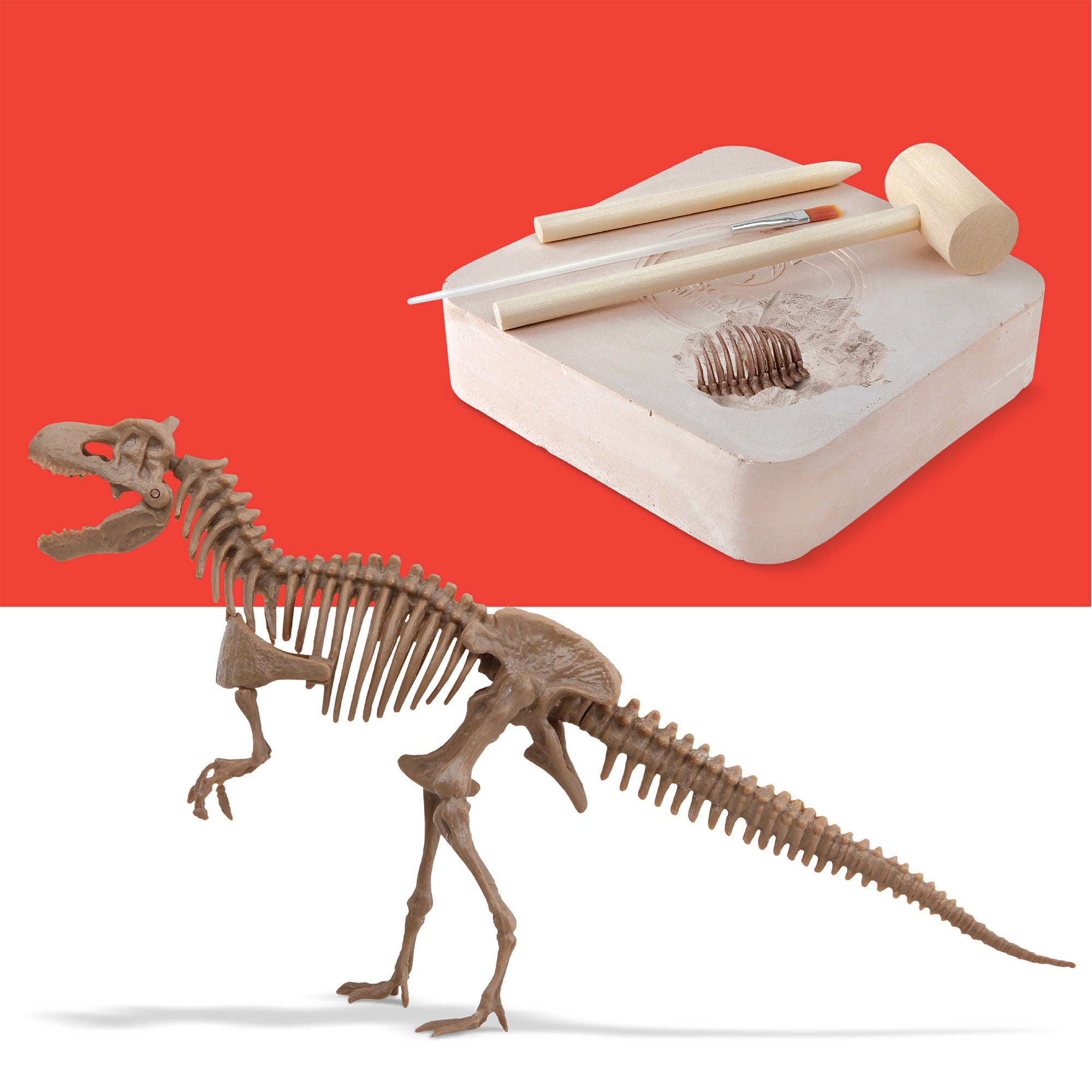Thrilling 3D Dino Skeleton Excavation Adventure Kit