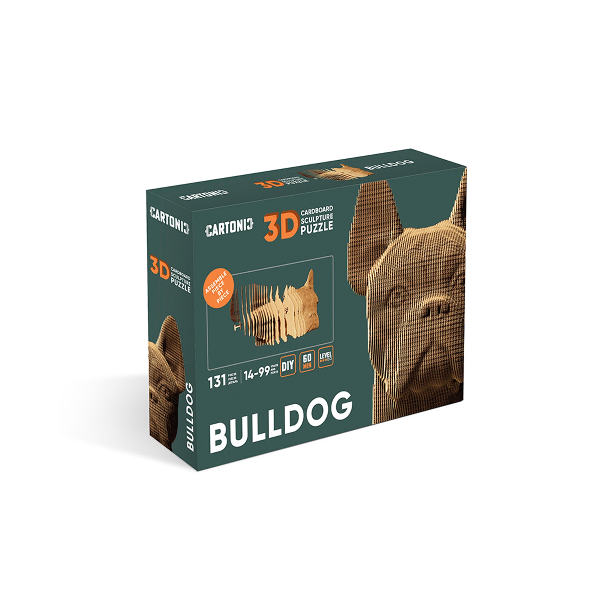 Awesome 3D Bulldog Cardboard Puzzle