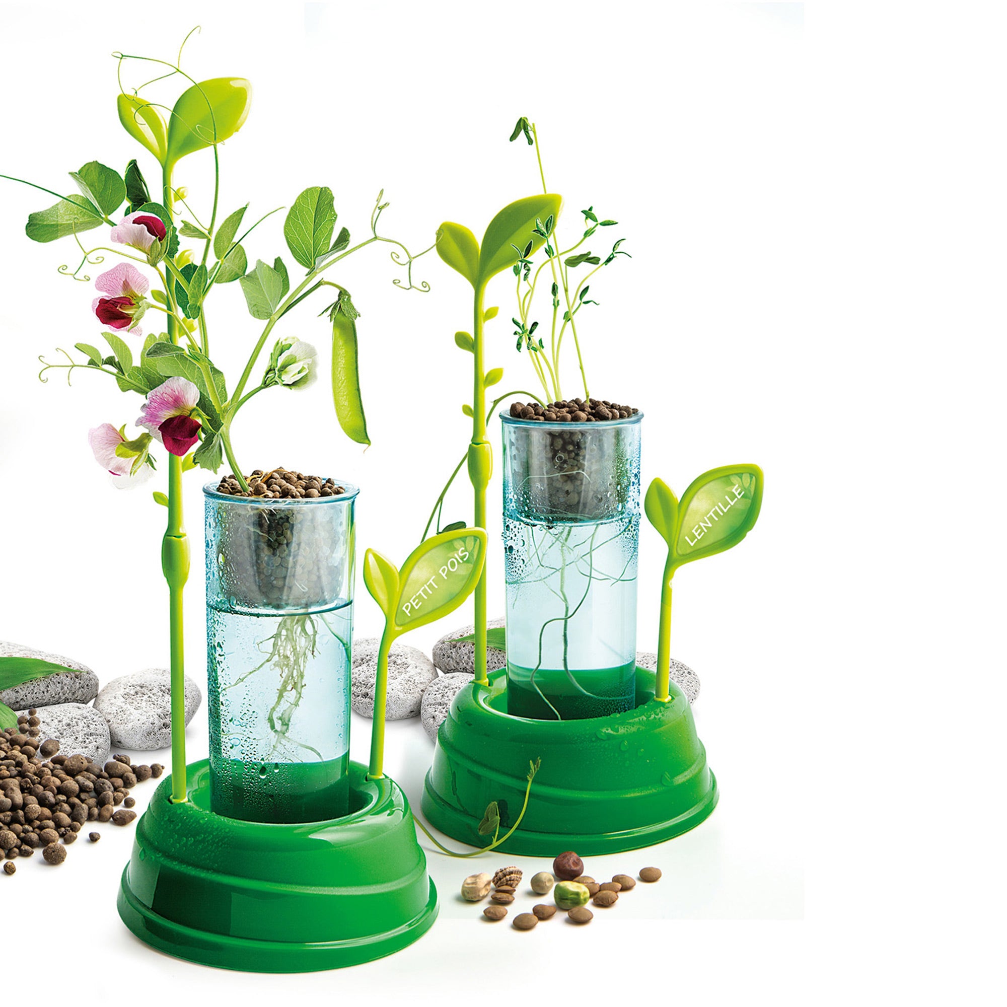 Botany & Hydroponics Science Kit - French Edition: Unleash Your Child's Green Thumb!