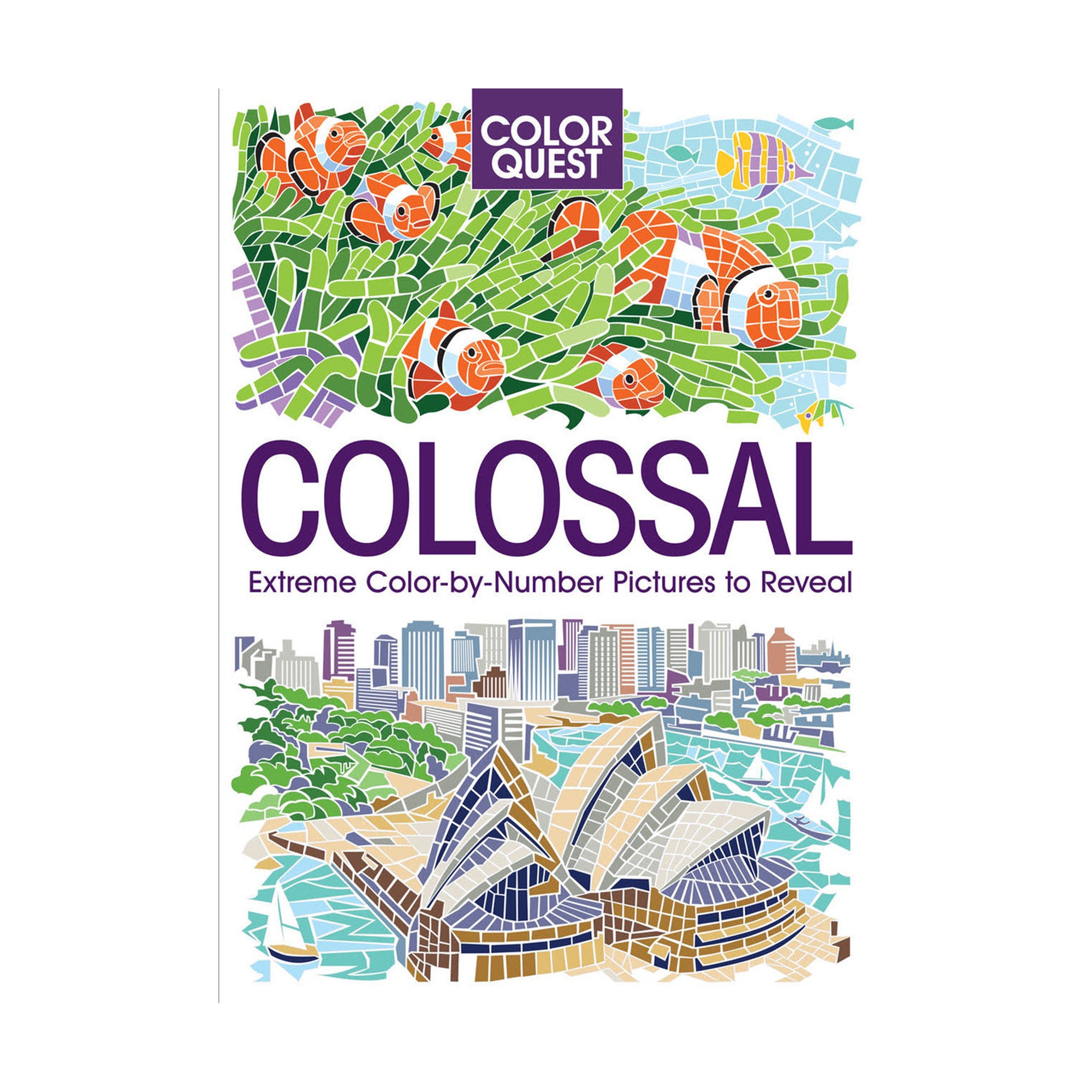Colour Quest: Colossal - A Magical Coloring Adventure
