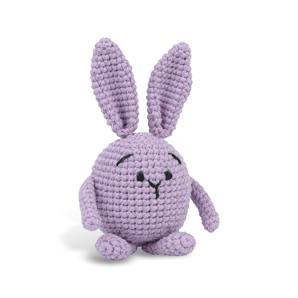 Adorable Pete the Rabbit Amigurumi Crochet Kit