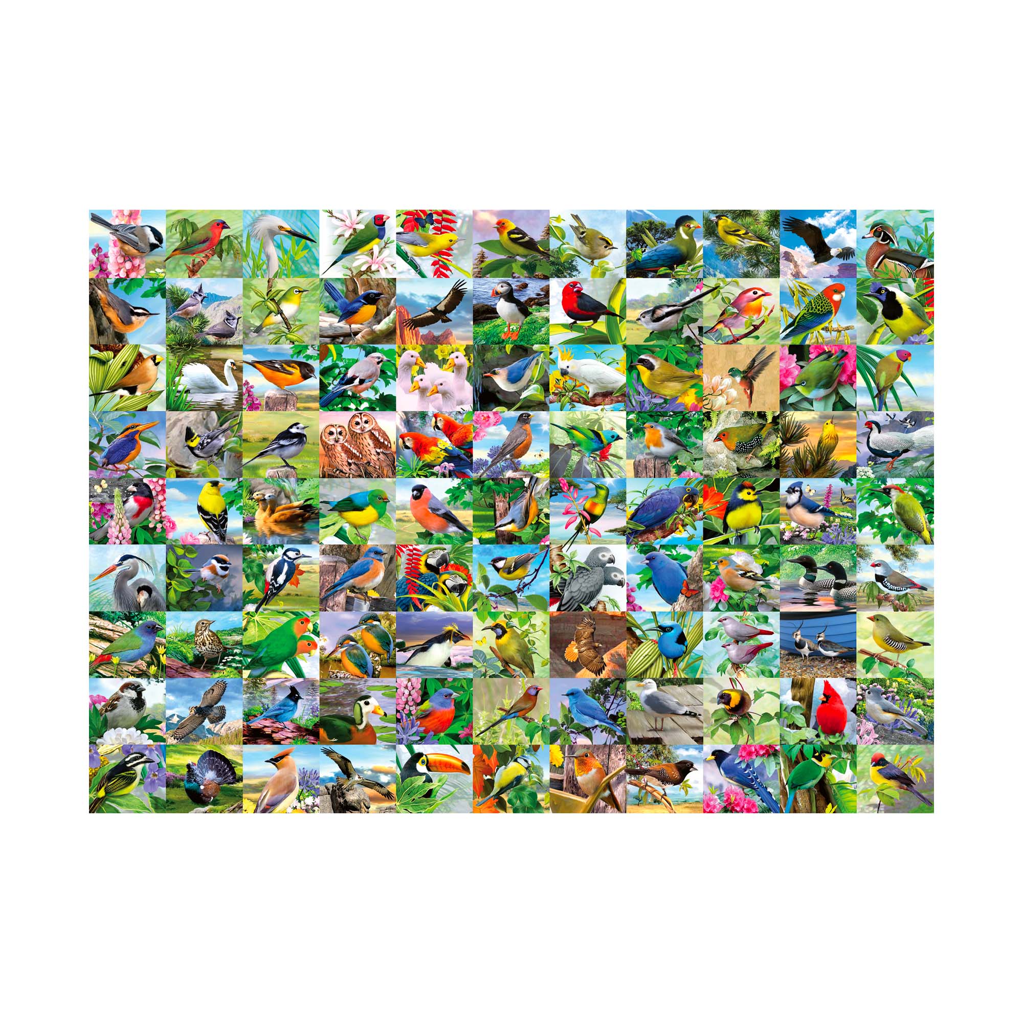 300-Piece XXL Puzzle - Enchanting Birds: A Must-Have for Puzzle Lovers
