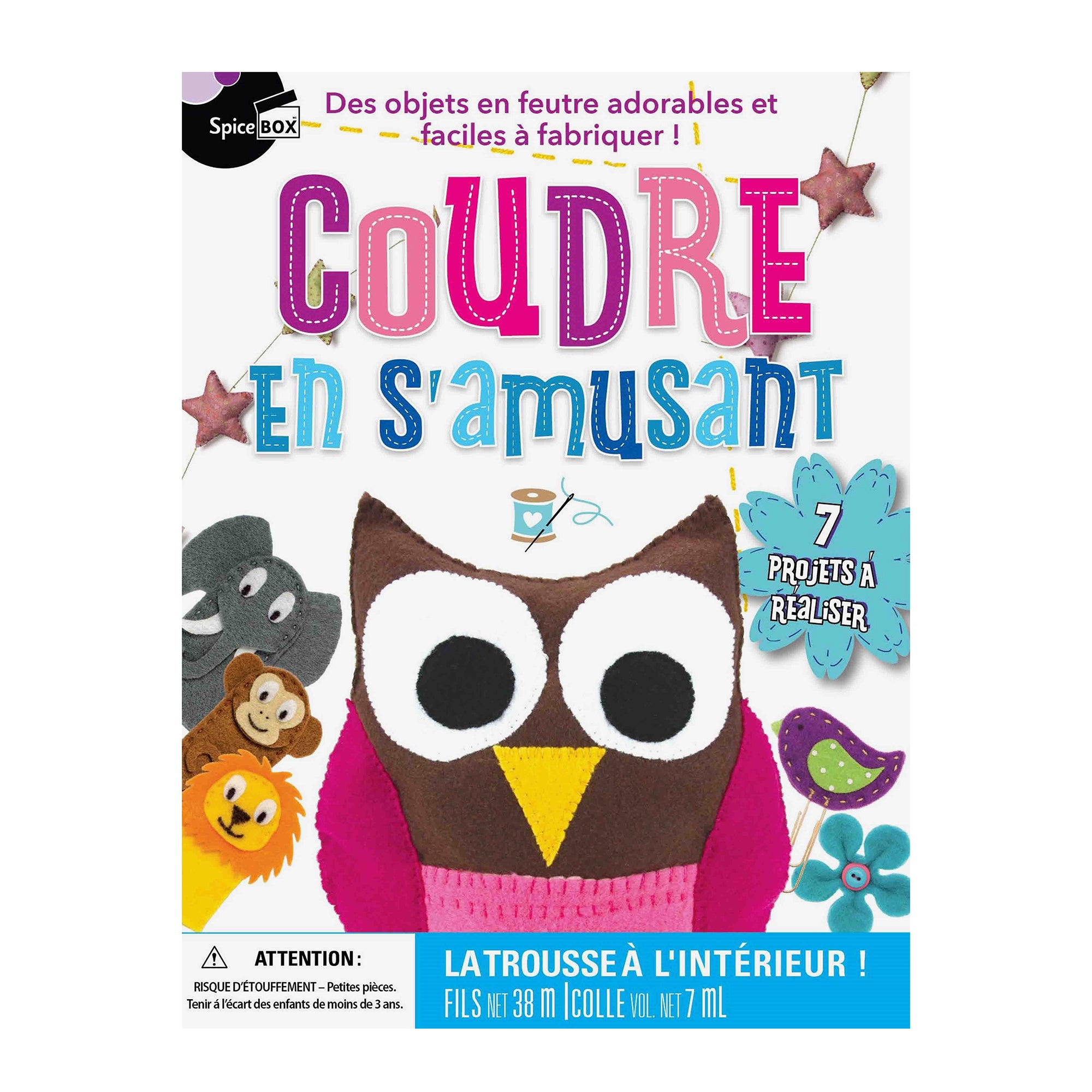 Fun Felt Crafts: 7 Projects to Create - French Ed.
