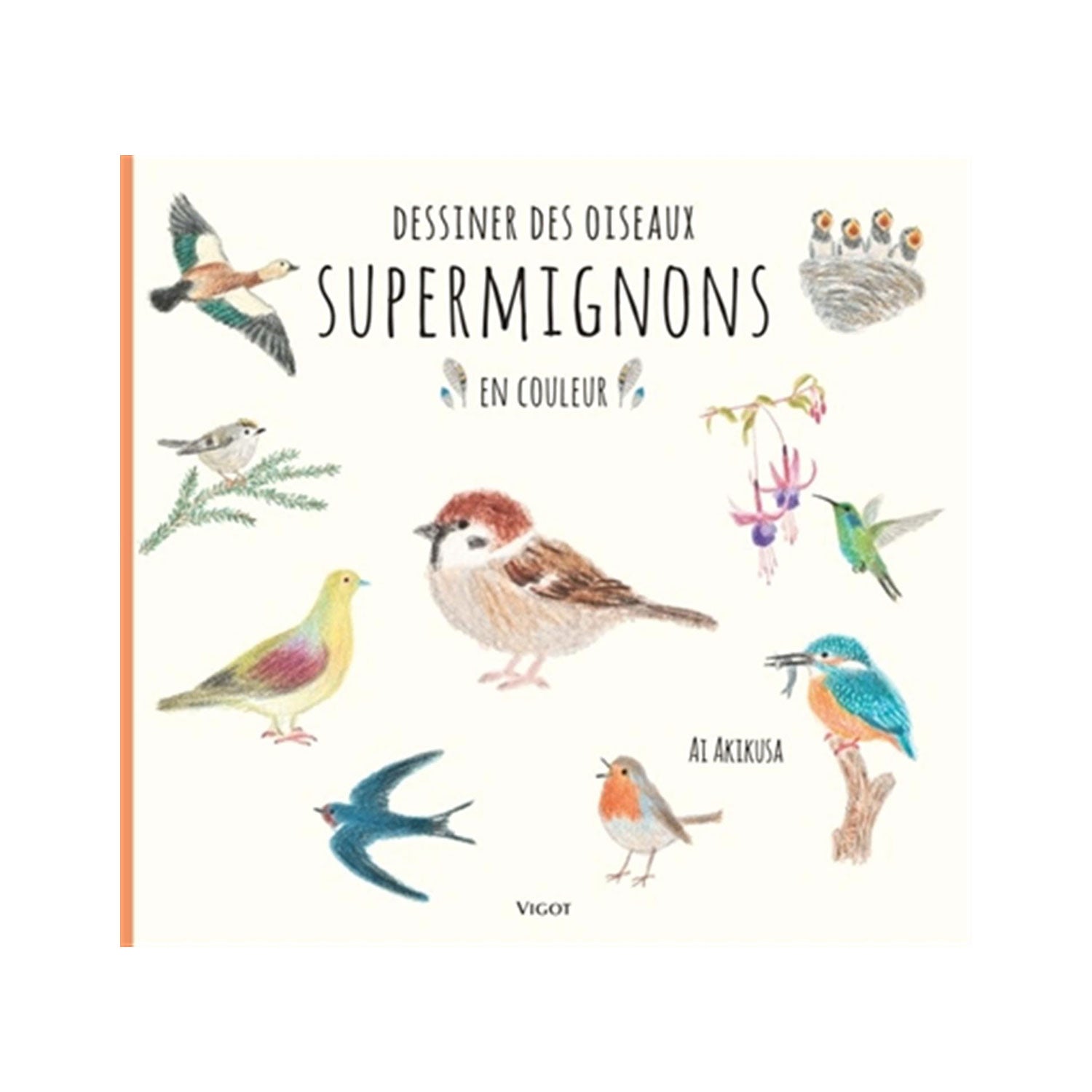 Colorful Super Cute Bird Drawing - French Edition