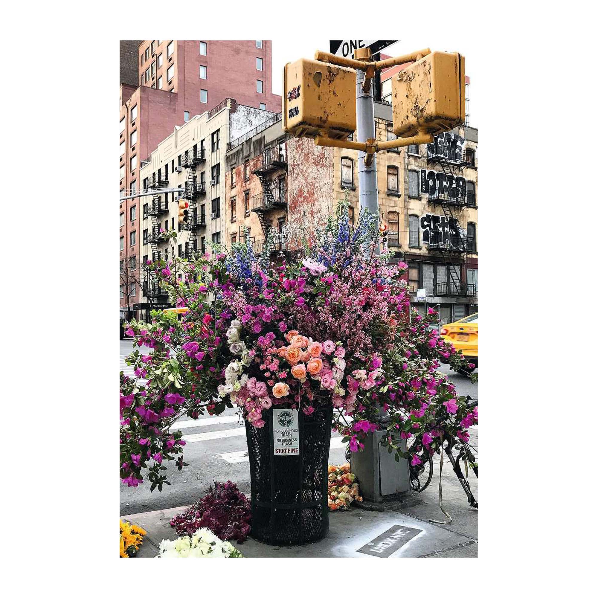 Enchanting 300-Piece New York Flowers Puzzle