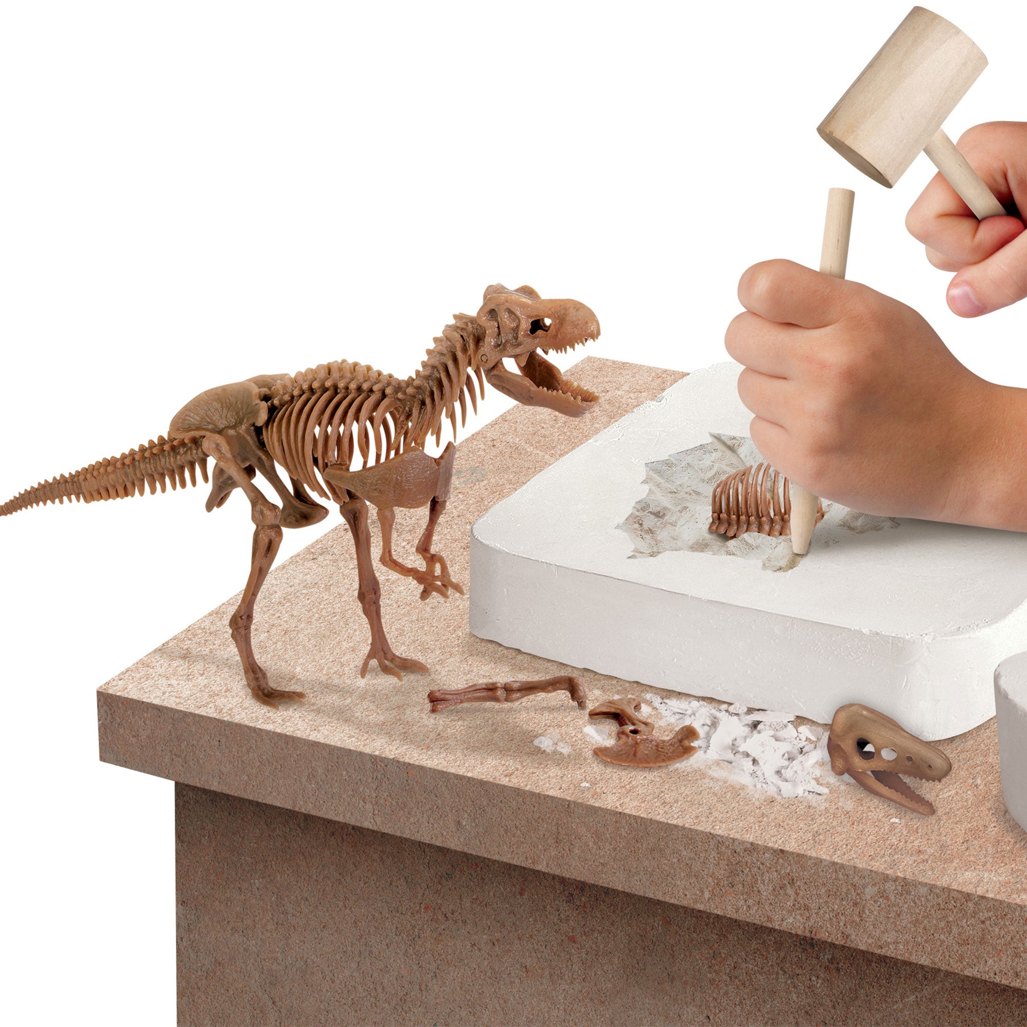 Thrilling 3D Dino Skeleton Excavation Adventure Kit