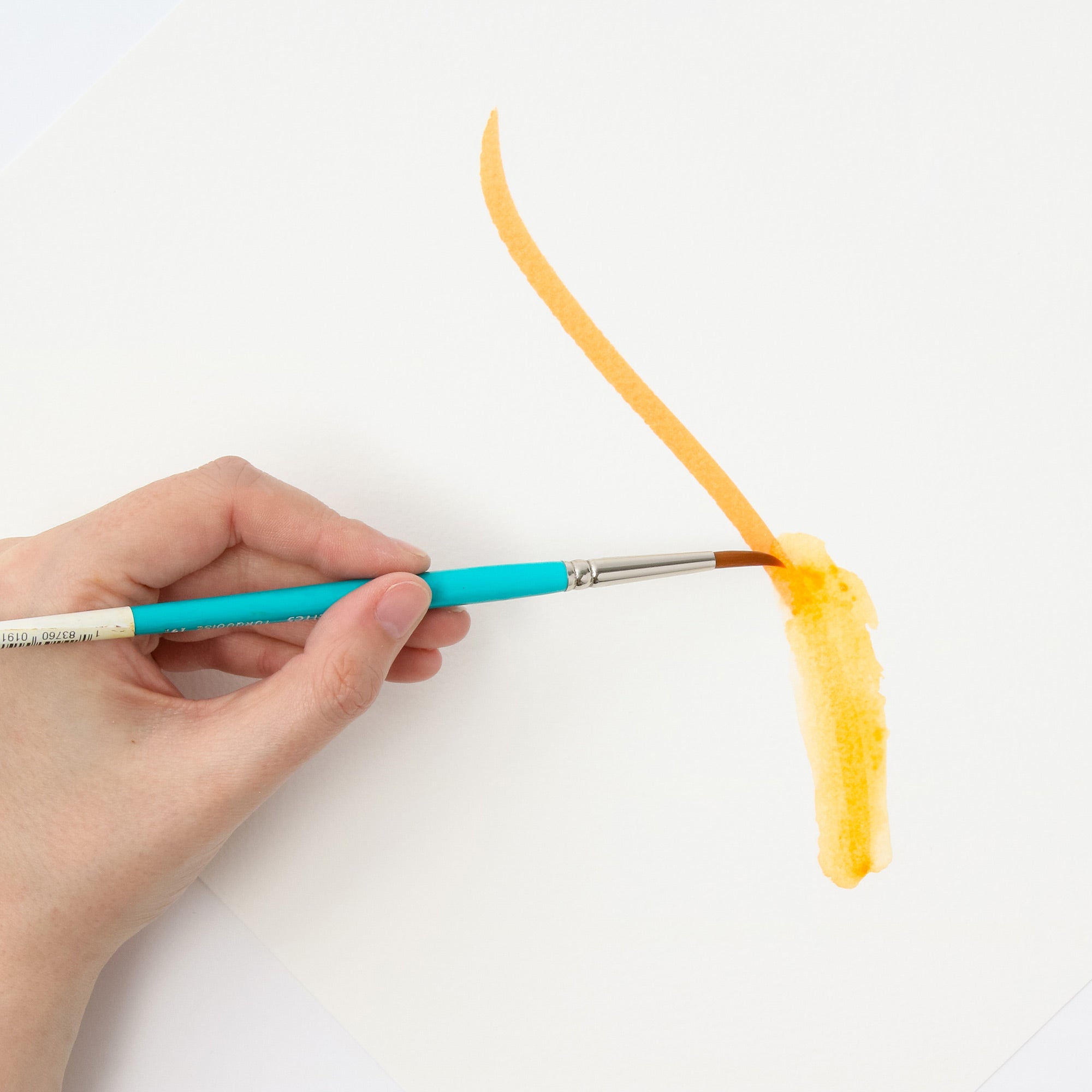 Albrecht Dürer's Stunning Leaf Green Watercolour Marker