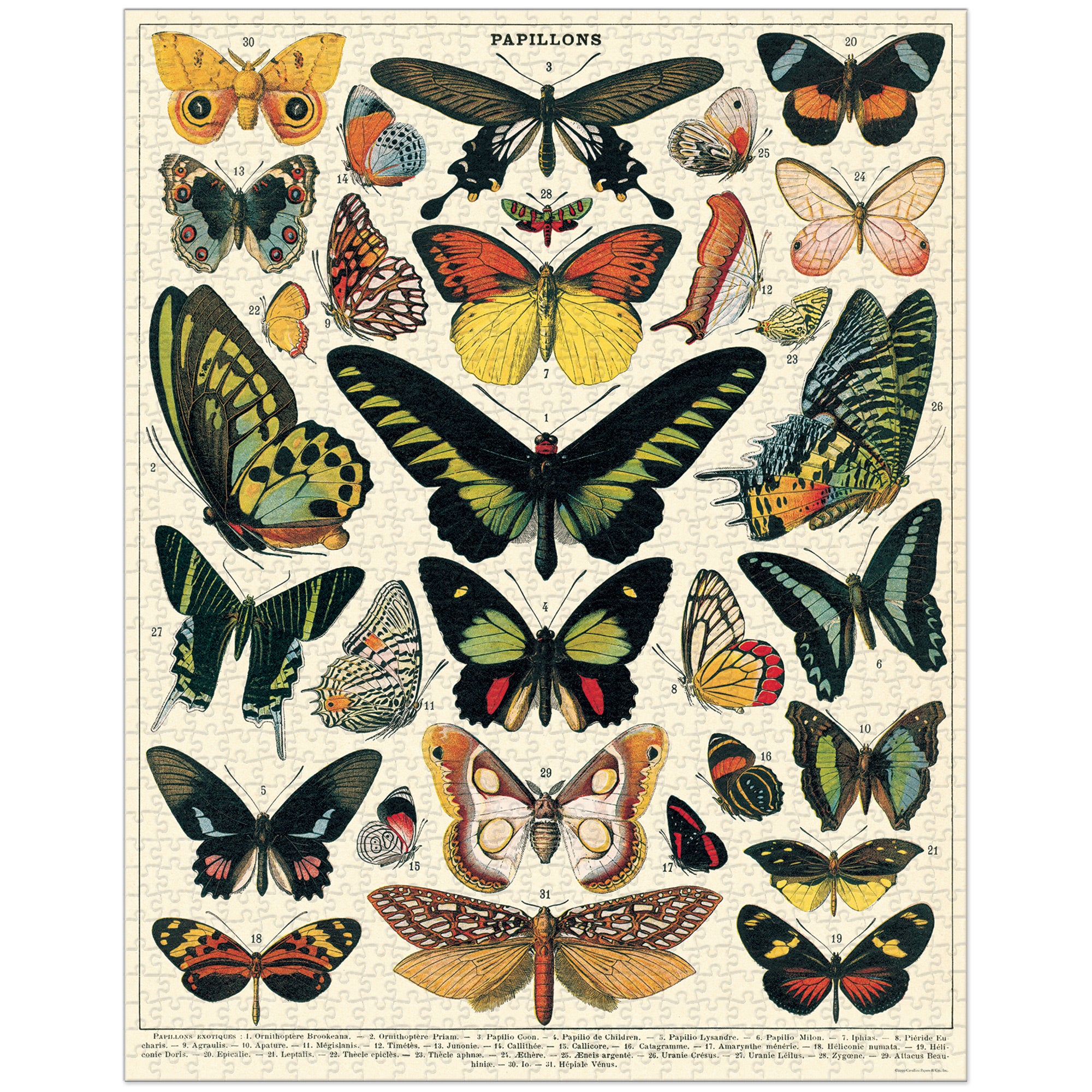 Enchanting 1,000-Piece Butterfly Puzzle