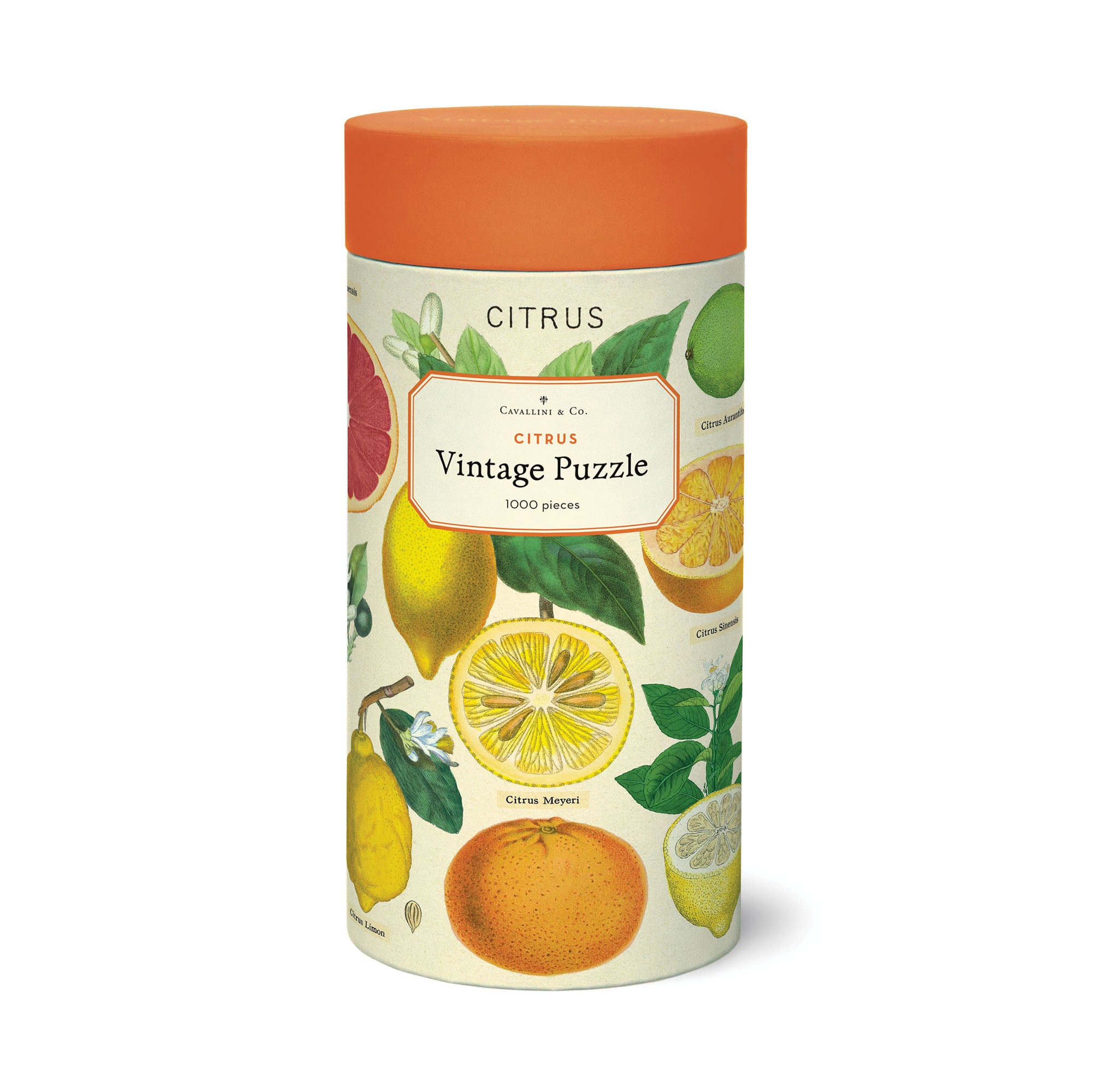 1,000-Piece Exquisite Vintage Citrus Puzzle
