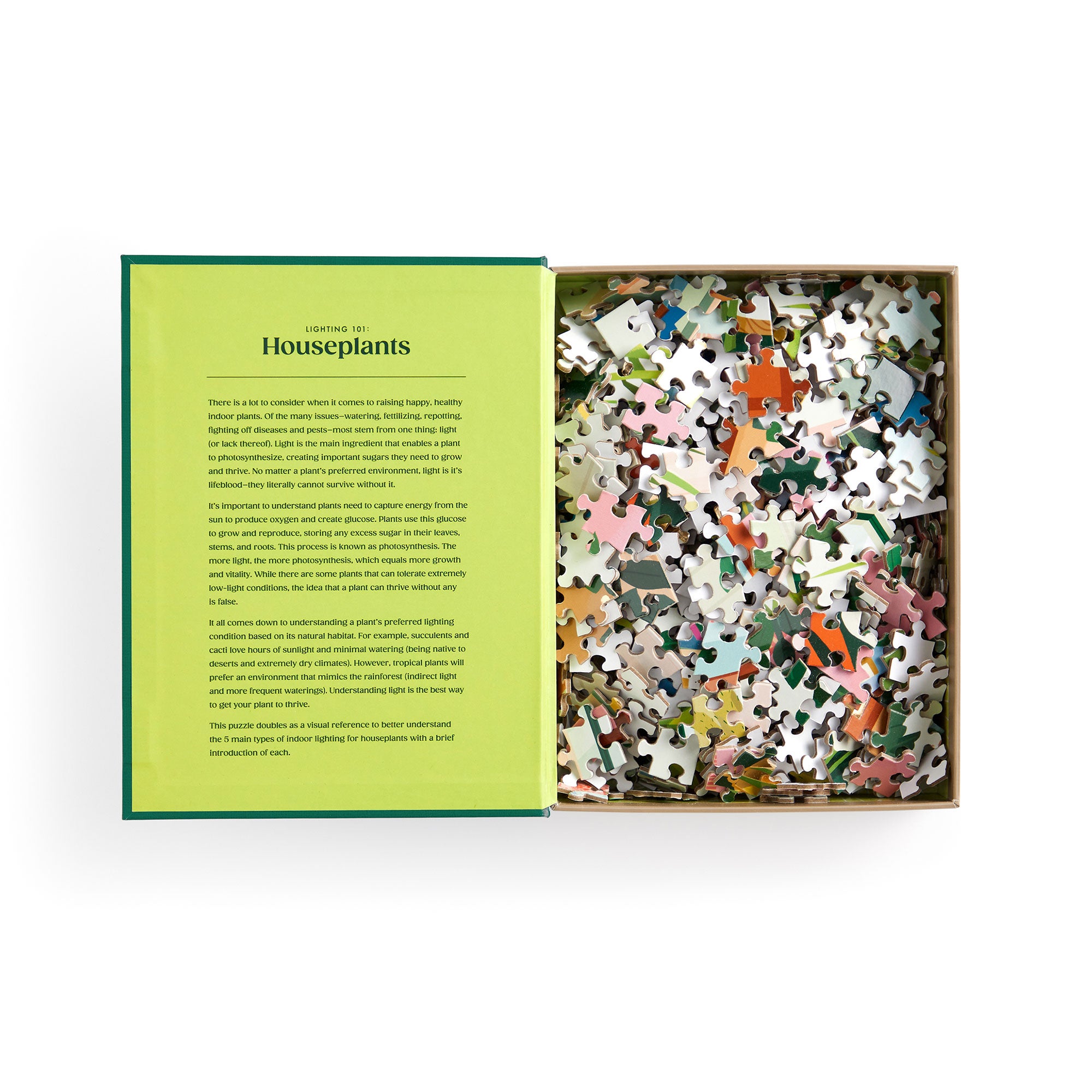500-Piece Houseplants Book Puzzle - A Captivating Art Adventure!