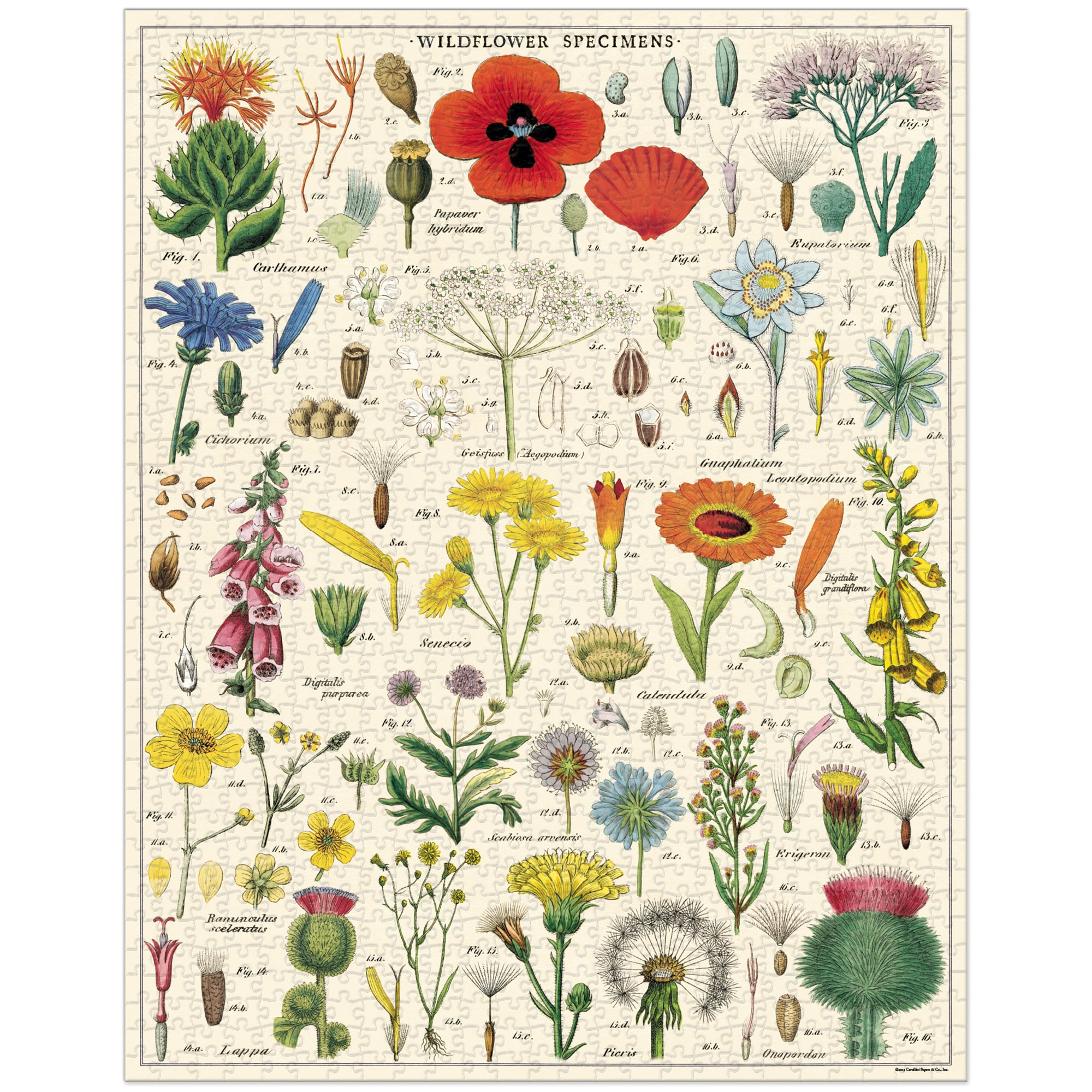 Enchanting 1,000-Piece Wildflowers Puzzle