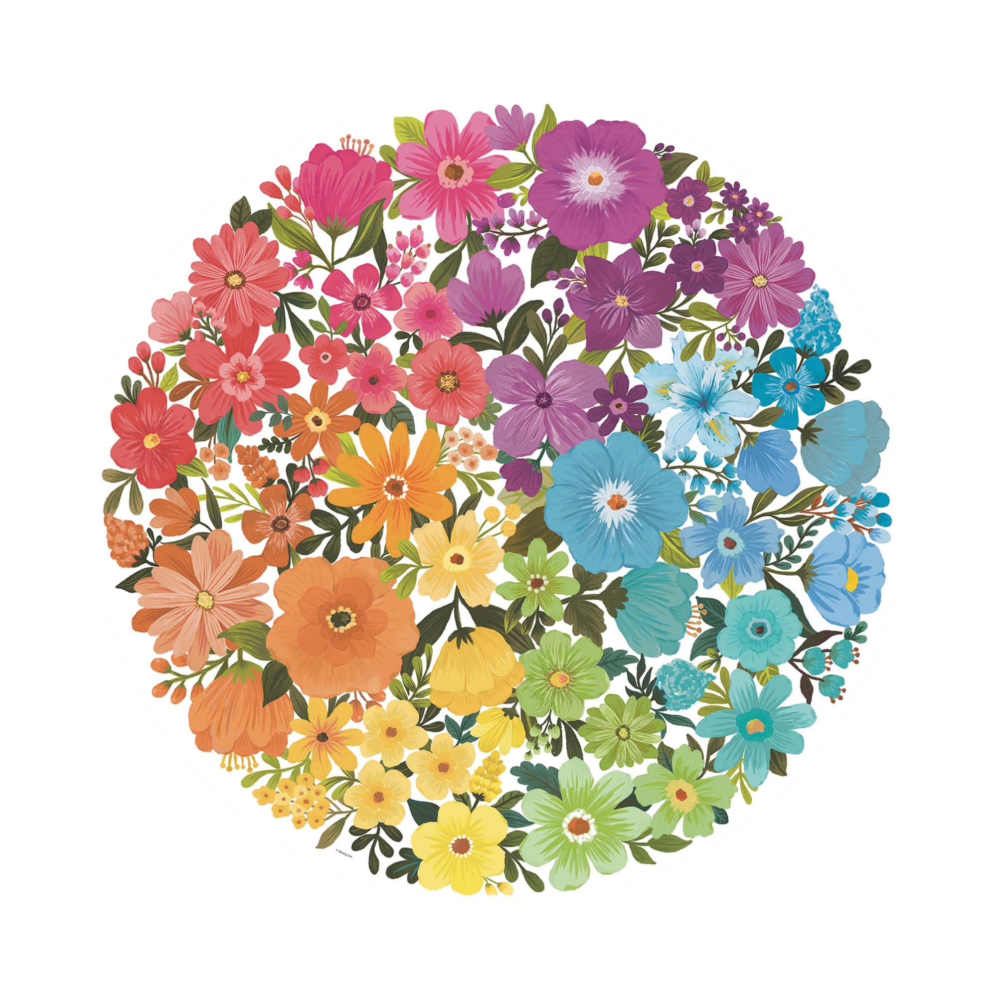 Stunning 500-Piece Flower Colour Circle Puzzle