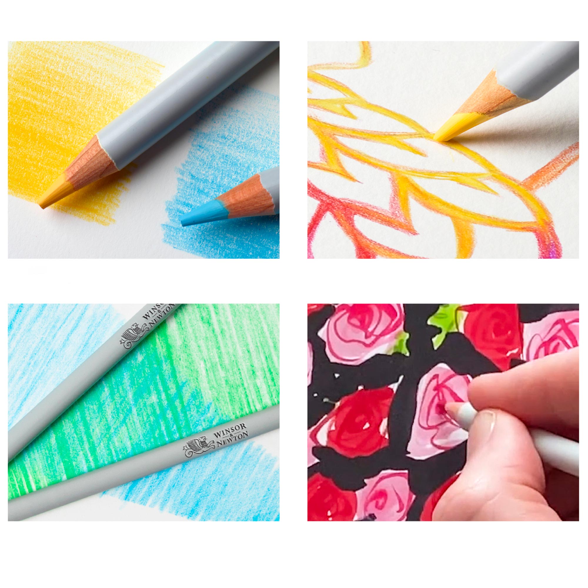 48-Piece Coloured Pencil Studio Collection: Unleash Your Creativity!