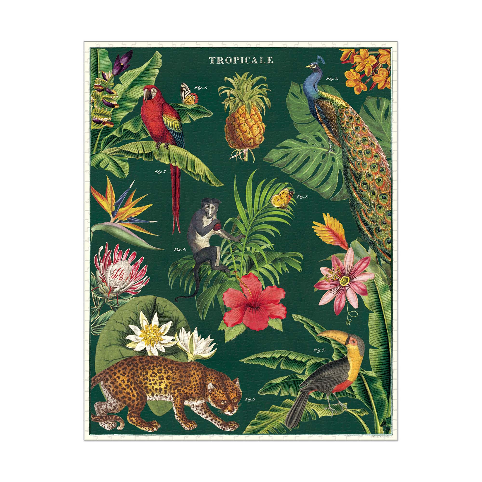 1000-Piece Tropical Vintage Puzzle: A Nostalgic Adventure!