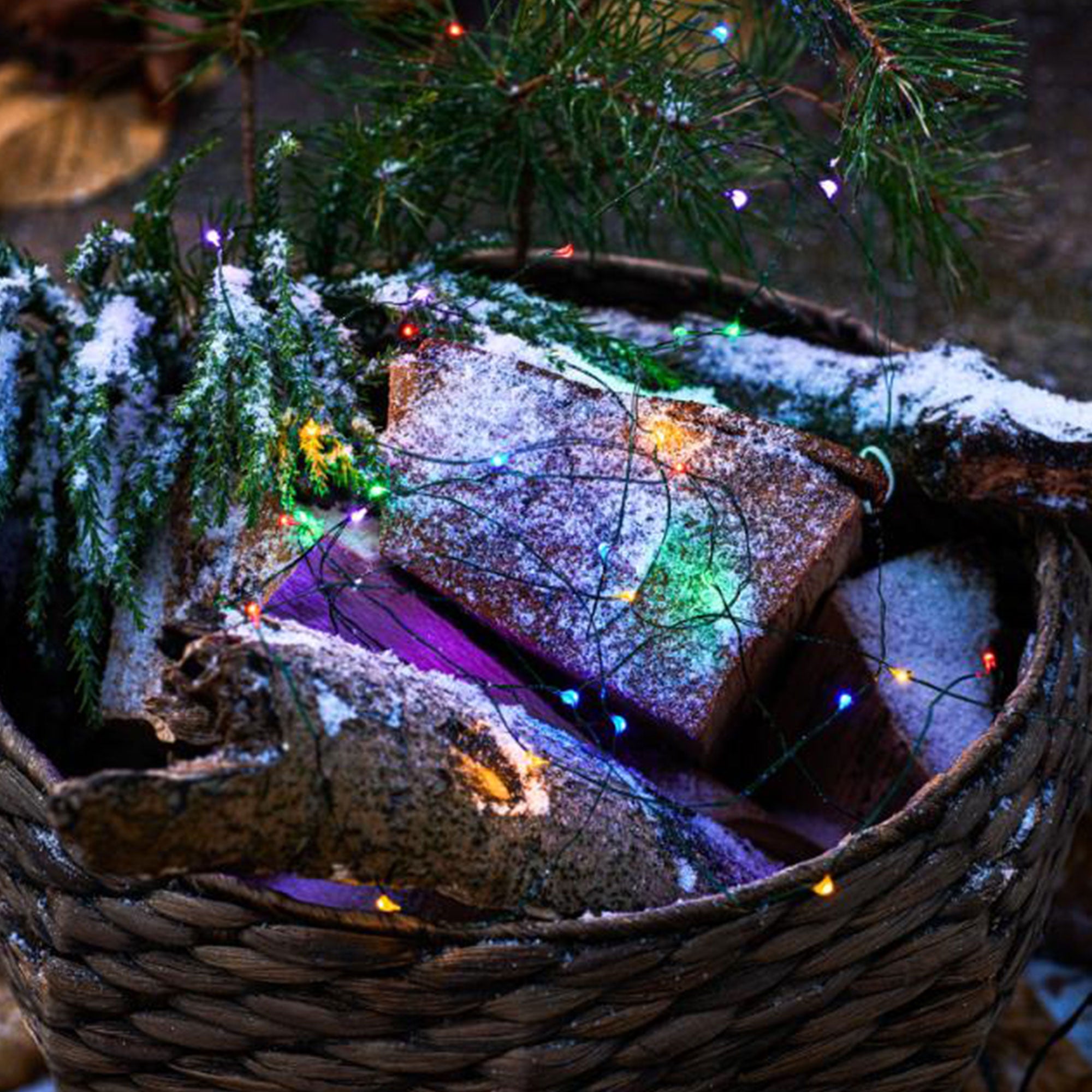 Enchanting 40 LED Multi - Colour Light Garland