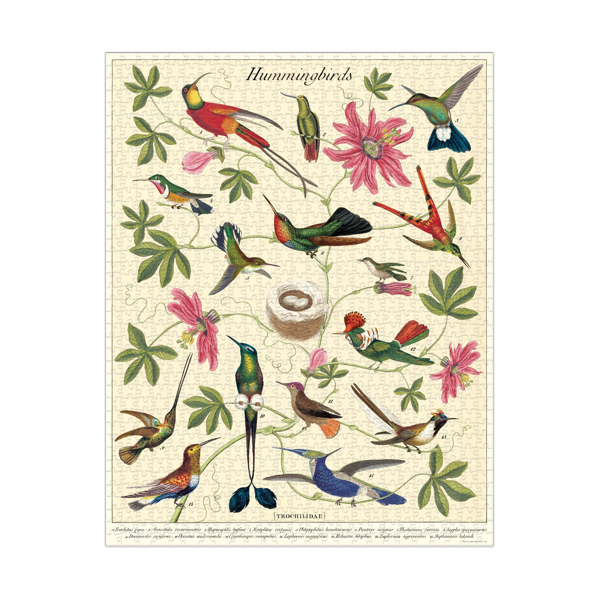 Enchanting 1,000-Piece Vintage Hummingbirds Puzzle