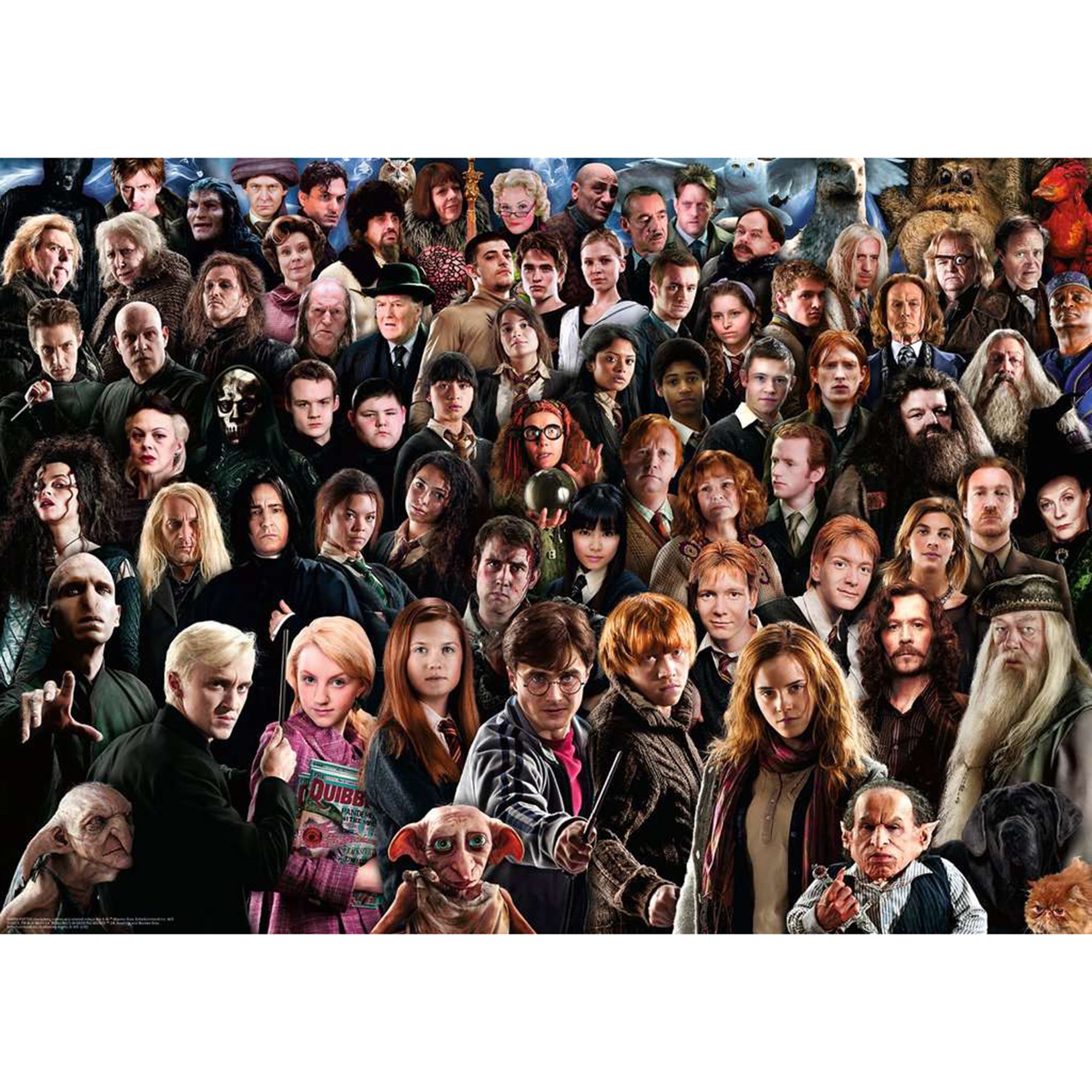 Unleash Your Magic with the 1,000-Piece Harry Potter Puzzle Challenge!