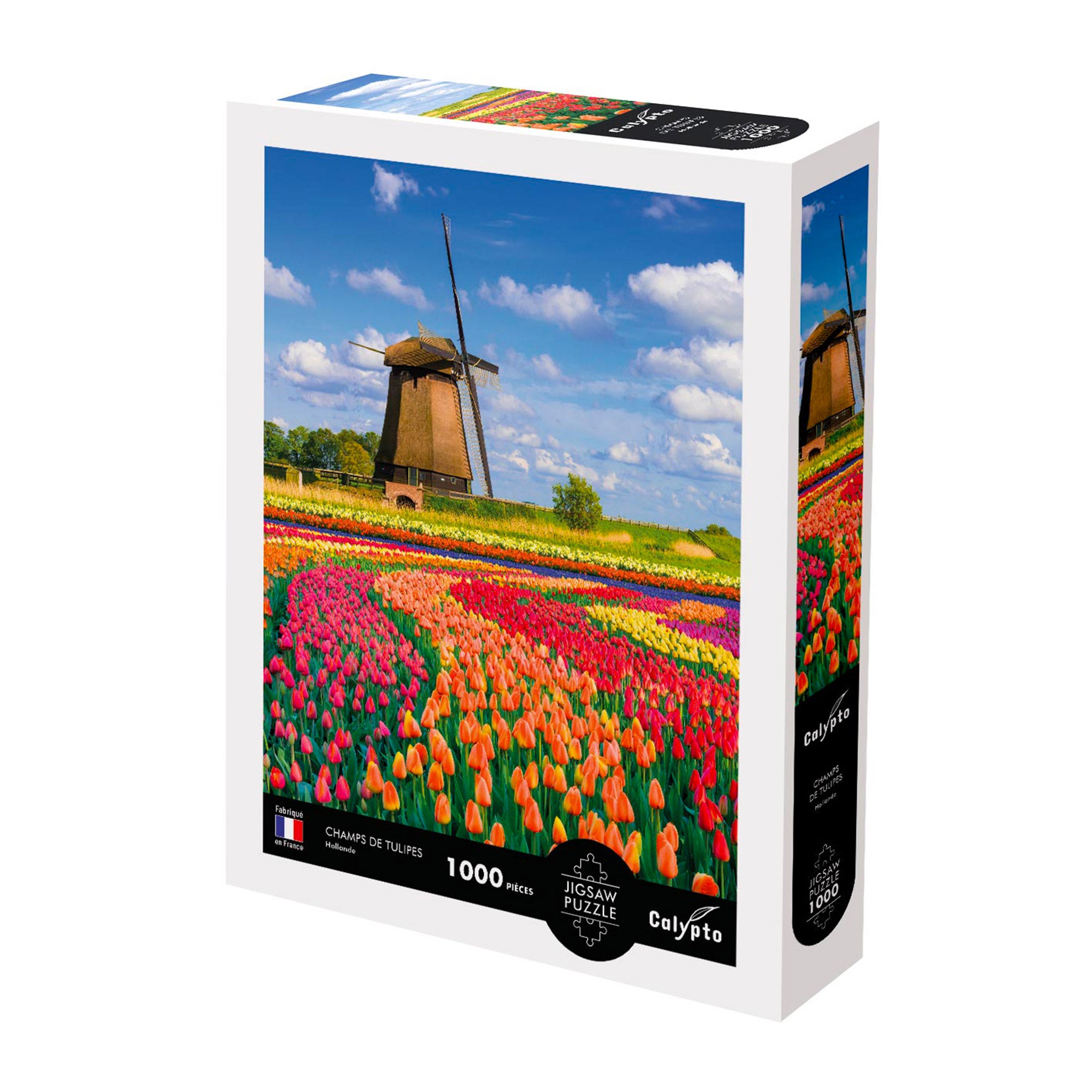 1,000-Piece Holland Tulip Fields Puzzle: A Magical Assembly Adventure