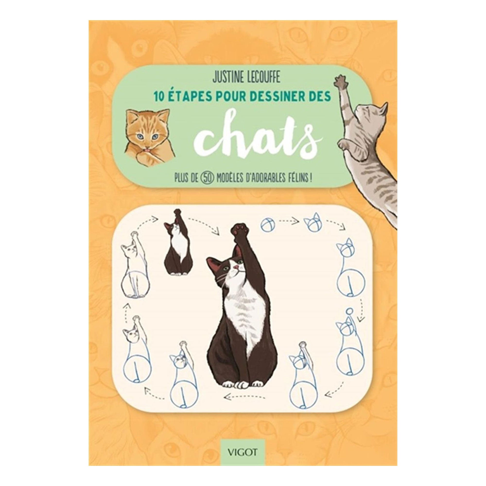 10 Drawing Tapes for Cats - French Edition