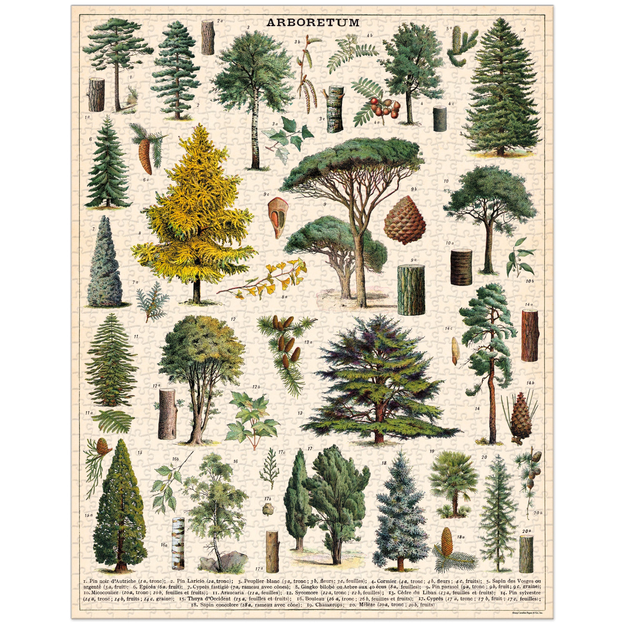 1,000-Piece Arboretum Puzzle - A Vintage Delight