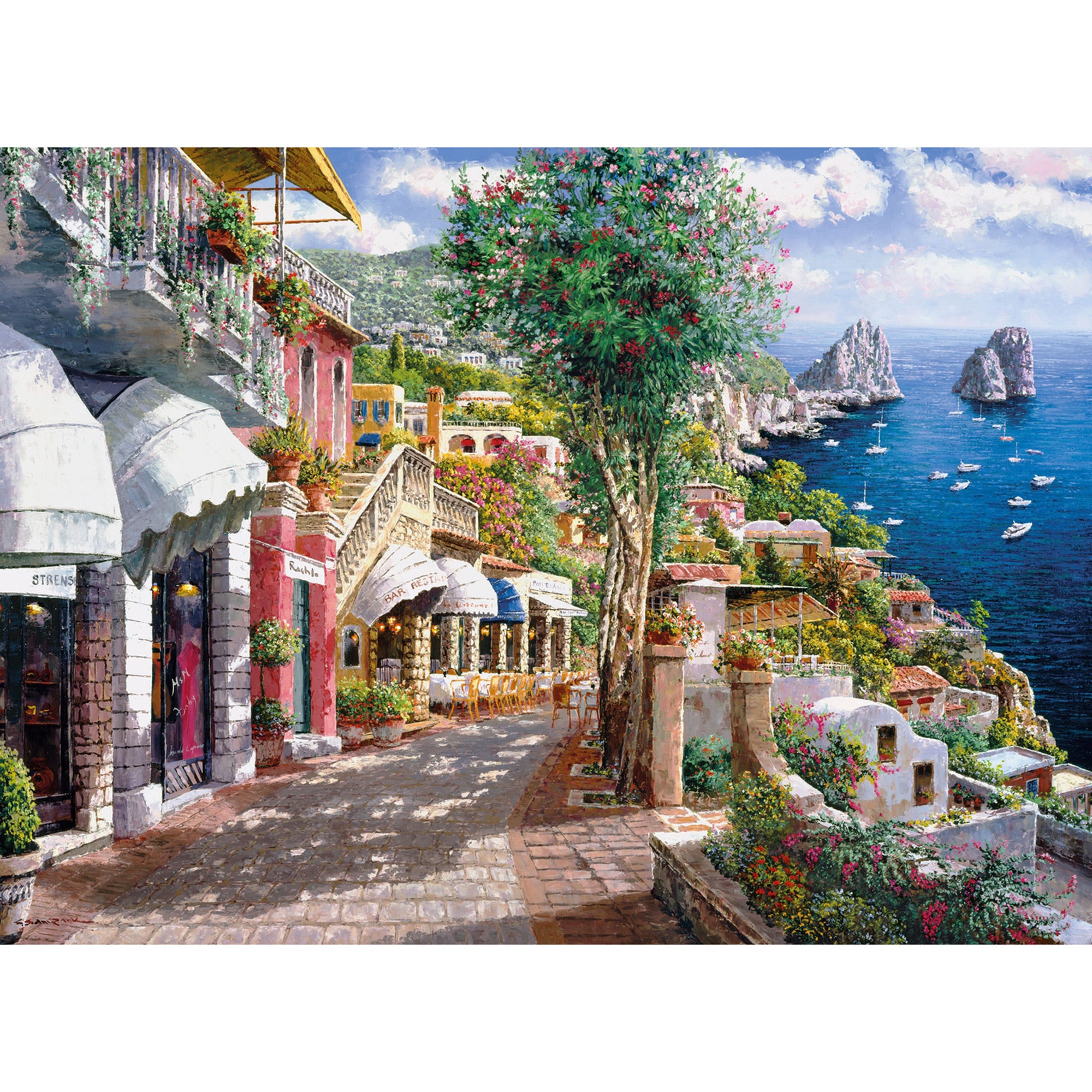Capri 1,000-Piece Puzzle - A Stunning Visual Treat