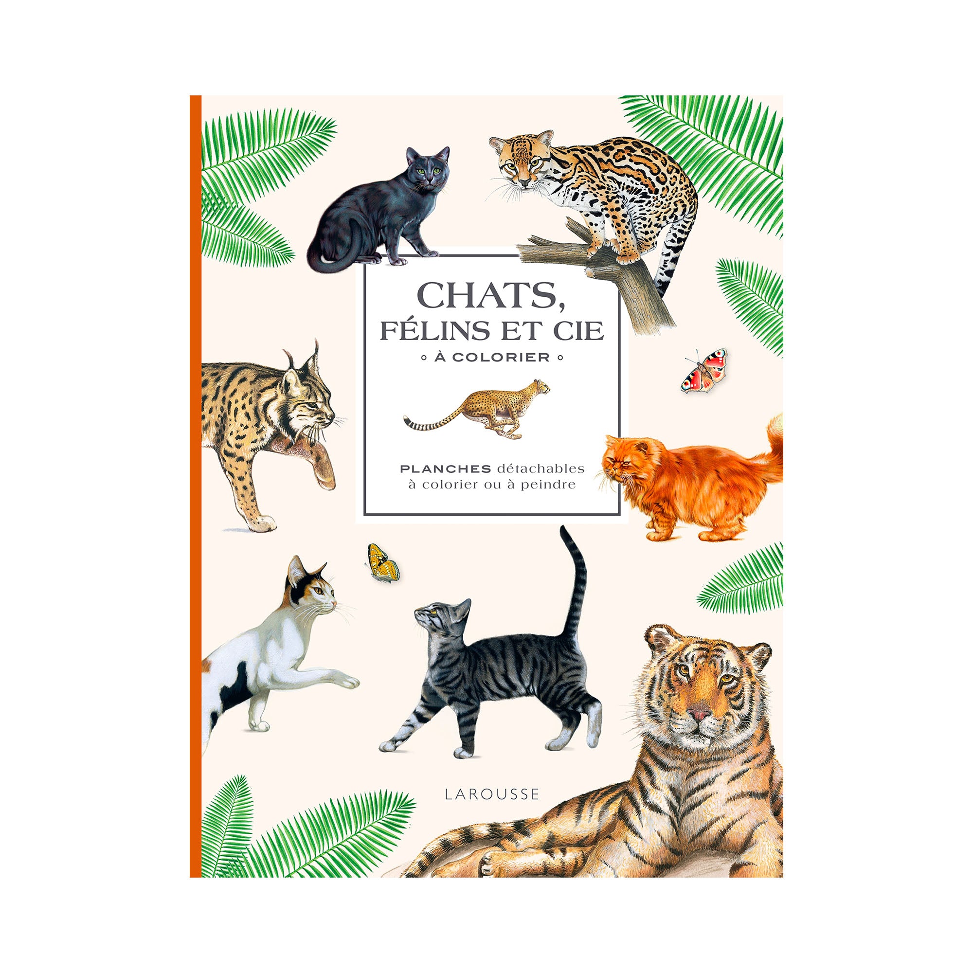 Feline Coloring Book - French Edition