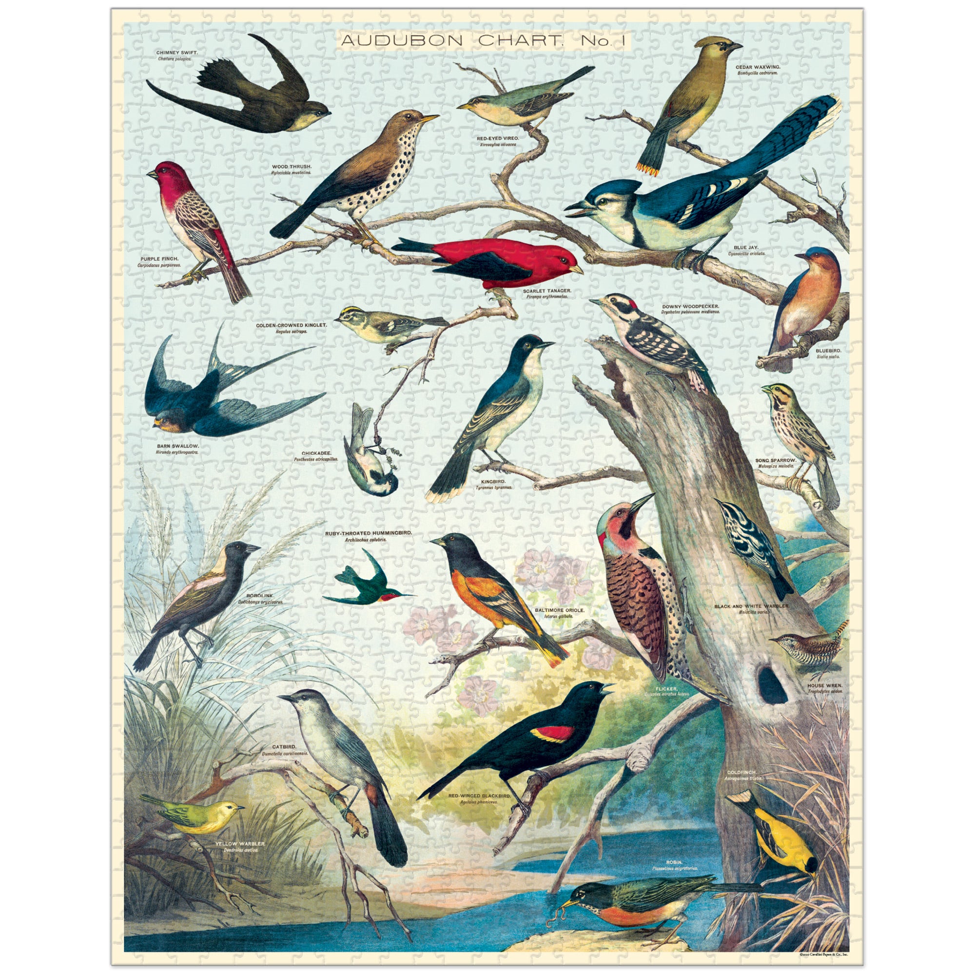 Enchanting 1,000-Piece Birds Puzzle